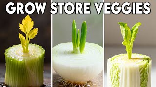 25 Store Bought Vegetables and Herbs That Regrow Into Mountains of FREE FOOD!