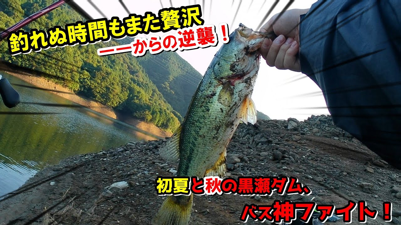 黒瀬ダムの神ファイト！酷道を越えて出会ったデカバス【6月＆9月】