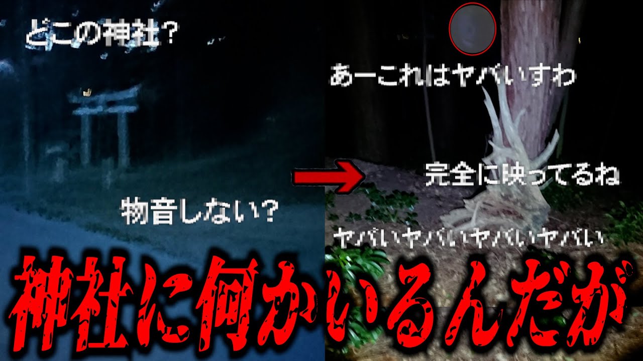 【閲覧注意】神社で写真を撮ってはいけない理由...「帰り道の神社に誰かいたんやが」ネットを震撼させた恐怖体験#57【ツッコミ】【なろ屋】【2ch最恐スレ】【衝撃】