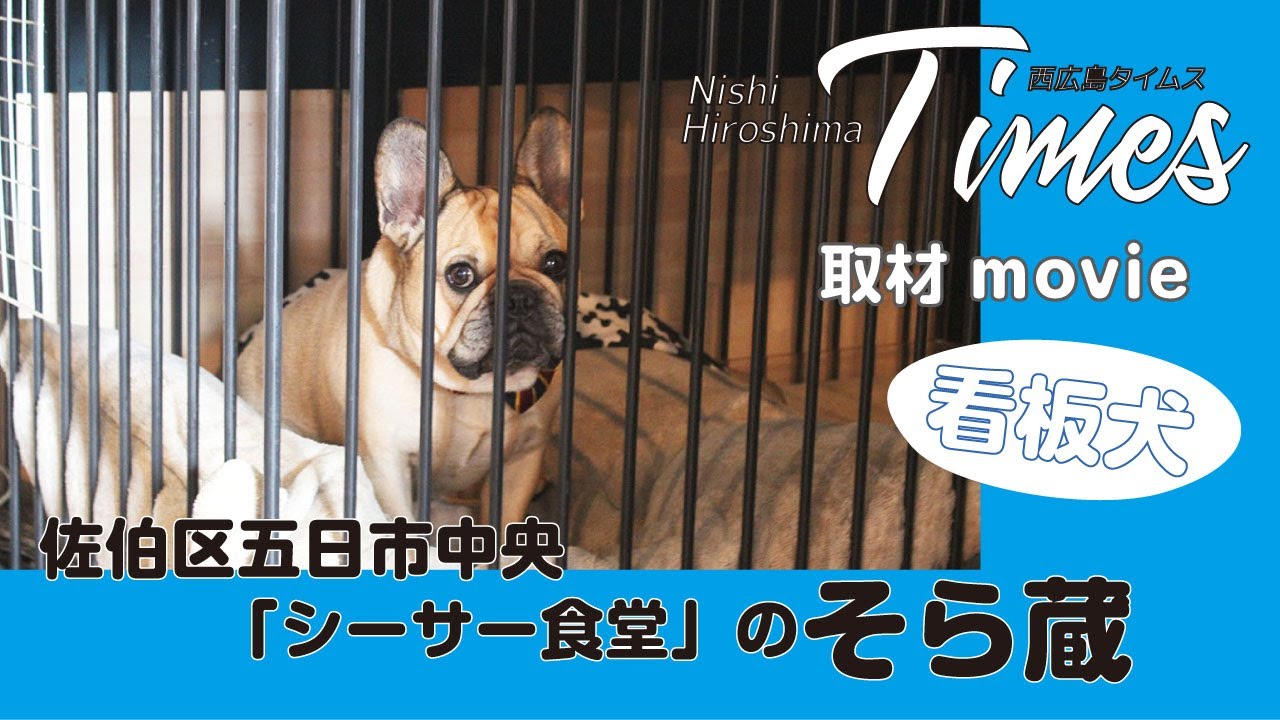 佐伯区五日市中央 シーサー食堂 の看板犬 そら蔵 西広島タイムス編集部がゆく Youtube