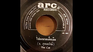 The Cat - ไปลงนรกเสียเถิด (Thai garage rock ballad 45rpm 7" on Arc Records)