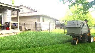 Bagging or Side Discharge Mowing Overgrown Lawn