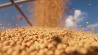 AgweekTV: Soybean Processing Plants Help Rural Communities and Farmers