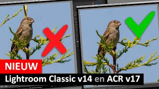 Nieuw in Lightroom Classic v14 én in ACR v17 (Dutch)