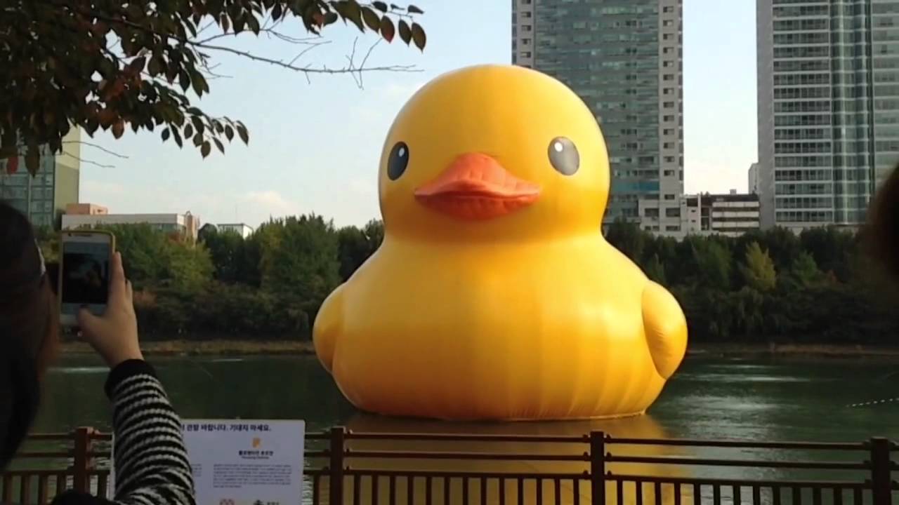 Lover Duck Youtube 