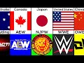 Wrestling companies from around the world