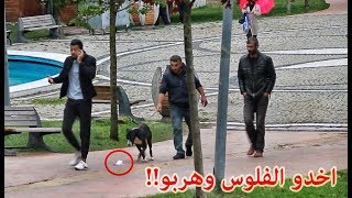 ⁣تساقطت منه ٢٠ ألف $ شاهد ماذا فعل الناس