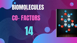 Biomolecules; Class 11;Co-factors