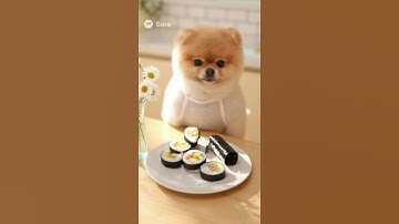 #한국강사교육협회#미래교육아카데미#AI강사맞수다#챗GPT강사김옥경﻿#소라2 #AI영상제작 #AI크리에이터 #AI강사 #AI브랜딩 #AI쇼츠 #AI활용교육 #AI감성영상