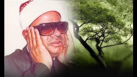 الشيخ عنتر (تلاوة نادرة من سورة الحاقة)
