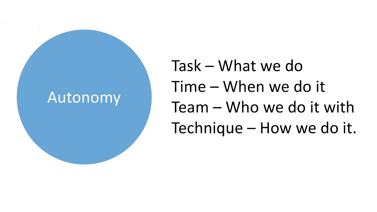 What Is Autonomy Drive Part 3 Short About Gamification Episode what-is-autonomy-drive-part-3-short-about-gamification-episode