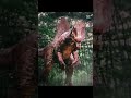 spinosaurus edit funk #jurassicpark #jurassicworld#spinosaurus #ジュラシックワールド #ジュラシックパーク #ジュラシックパーク3