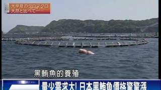 【民視全球新聞】人工養殖取代野生黑鮪魚日本全球NO 1! 