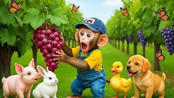 Monkey Nana Drives a Tractor to Find the Missing Duckling 🦆🚜  Unexpected Farm Adventure