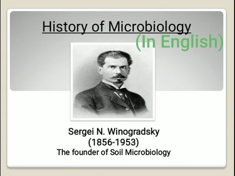 മൈക്രോബയോളജിയിൽ വിനോഗ്രാഡ്സ്കി സംഭാവന | വിനോഗ്രാഡ്സ്കി കോളം