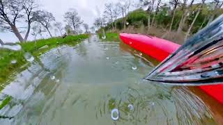 underwater lily pads with the 360 camera 