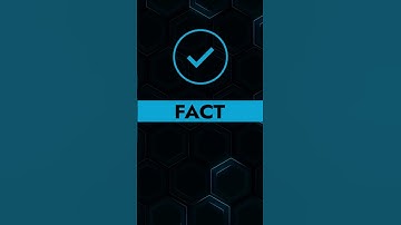 DuraClip™ Fact or Fiction: ERCP Scope