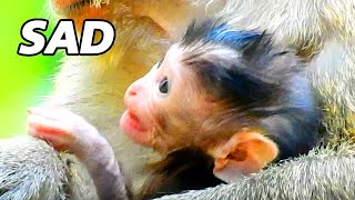 SAD CRY ... NEWBORN MONKEY DEEPLY SCARE &amp; SADNESS - WHAT WRONG TO BABY??
