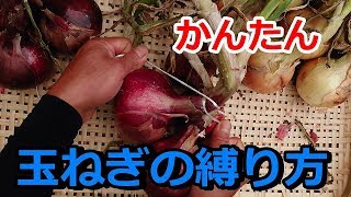 『家庭菜園』玉ねぎの簡単な縛り方と残った茎葉の有効利用方法！