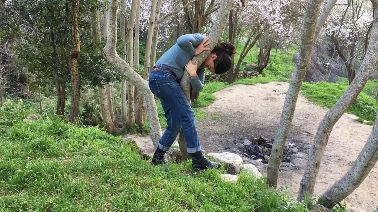 Continuum in between almond trees, Ein Karem, Jerusalem