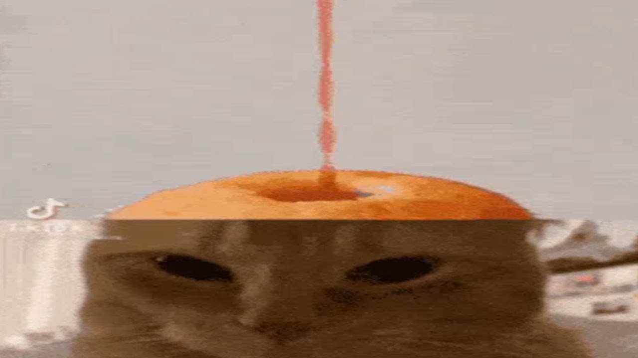 gifs if they had sound: