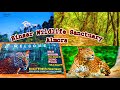 Binsar Wildlife Sanctuary Almora || Beautiful View from Zero Point Almora || Santosh Tiwari