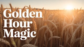 Easy Golden Hour Photo Tricks You Need To Try