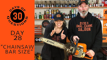 Can I Put A LONGER Bar On My Chain Saw? (DAY 28)