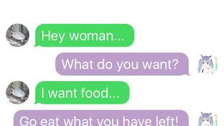 Texting with Dude the Turtle #1 News