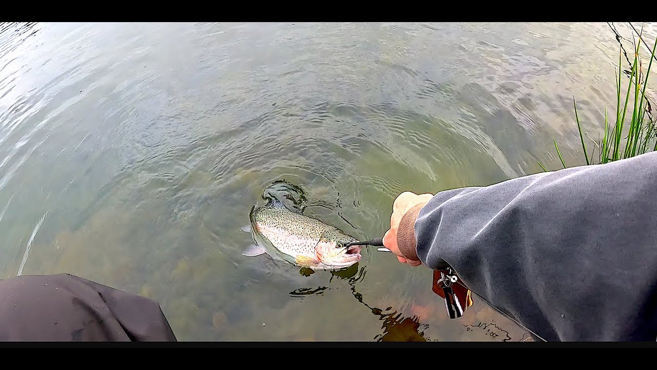 Fishing Waterfront Trout Fishery by Ayr with Davie McPhail