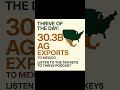US Food Exports: How America Feeds the World #Shorts