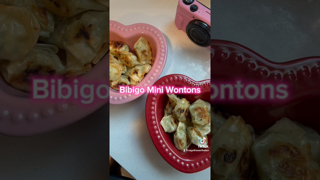 BIBIGO MINI WONTONS🩷 