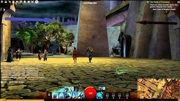 Guild wars 2 visual bug Problem