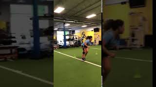 Circle Movement/Shuffle/Crossover Sprint to Deceleration