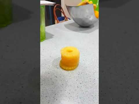 Magic trick - pineapple turns into dog