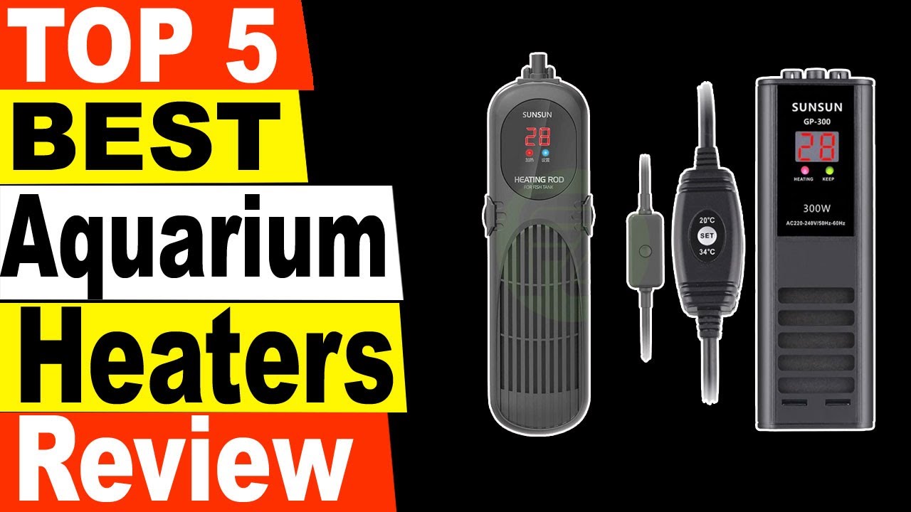 TOP 5 Best Aquarium Heaters Review 2021 YouTube
