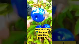 Blue Apple