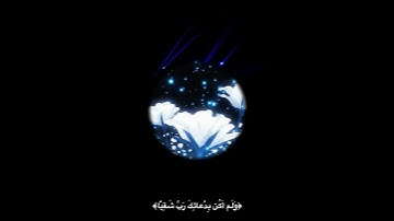 ||سورة مريم|| القارئ ياسر الزيلعي