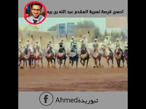 احسن قرصة لسربة المقدم عبد الله بن بيه تبوريدة