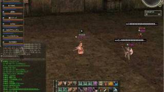 リネージュ２　巨人上層GKP　裏鷹VS使徒　20100202.avi