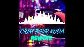 Lagu Joget Dangdut Cium Bibir Kuda Remixz 🎼🎼💯