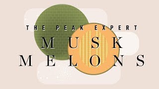 The Peak Expert | WHY JAPANESE MUSK MELONS ARE SO EXPENSIVE