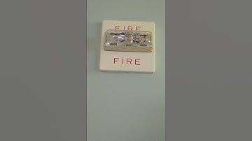 Wheelock RSS-24MCW Fire Alarm