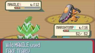 Let's Play Pokémon Ruby Part 9: Bring on the Brawl-y