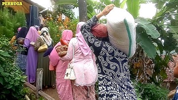 Jajap Pengantin Unik Dari Kampung Bojong Ke Kampung Poronggol Suasana Pedesaan Garut
