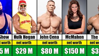 Wrestlers Net worth in 2023