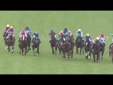 鞍馬ステークス 2021 パトロールビデオ 【クリノガウディー】