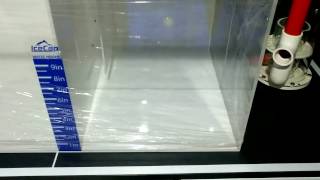 120 Gallon Build - IceCap 36 Sump