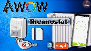 Awow Zigbee Thermostat mit Fensterkontaktsensor Review [Test & Unboxing] SmartHome