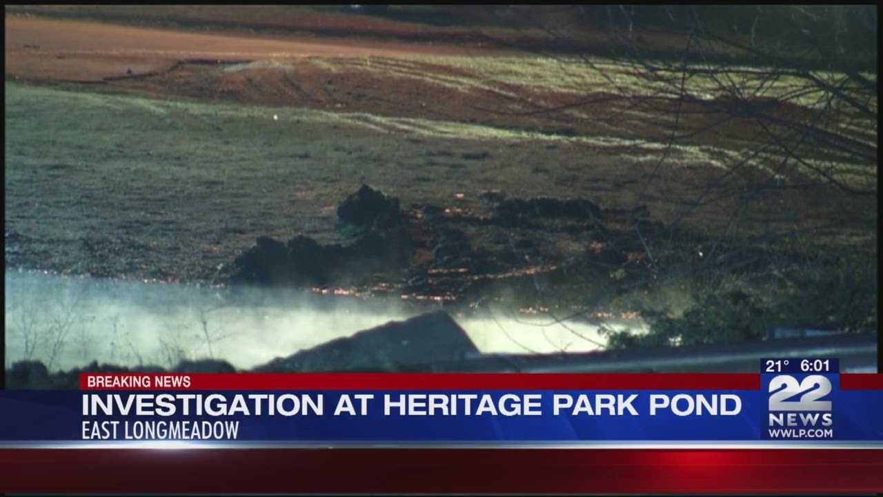 Car went off road, into Heritage Park Pond in East Longmeadow